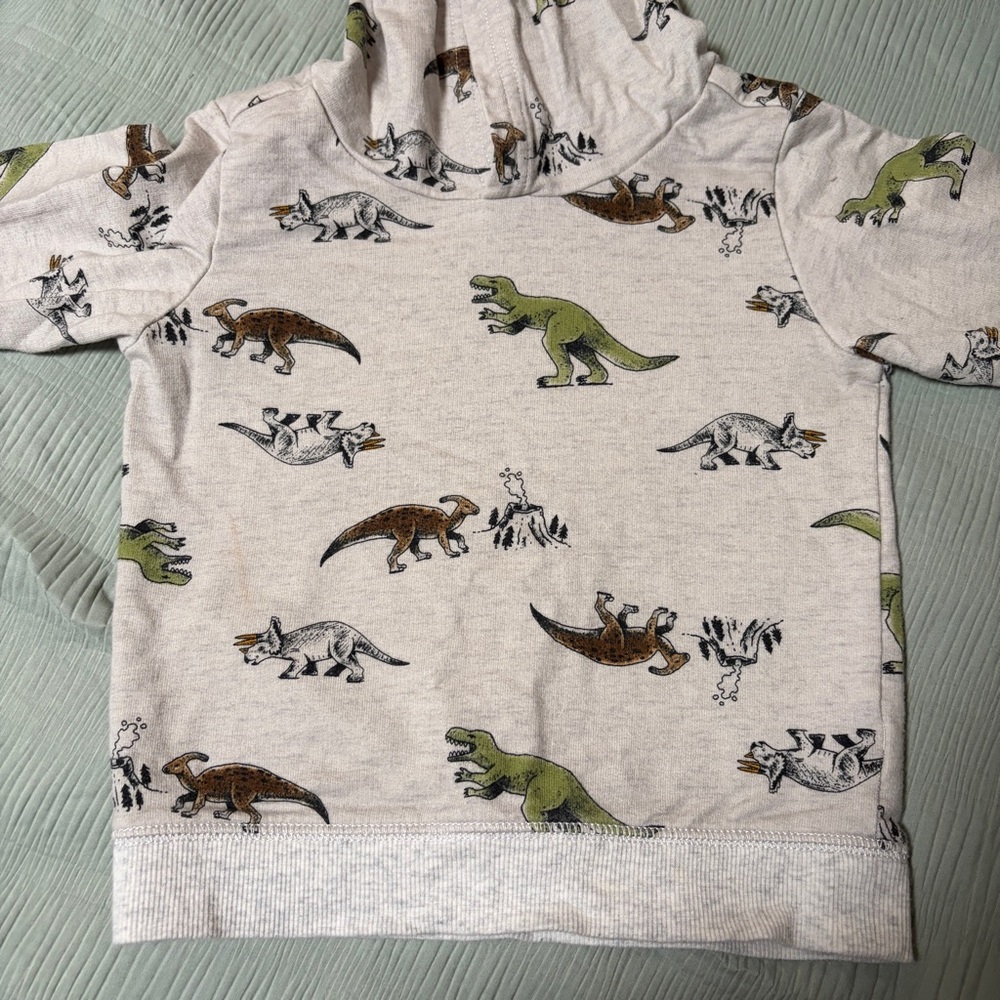 Kids Dinosaur Hoodie Sweatshirt - Beige with Green & Brown Dino Print